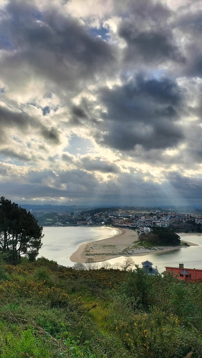 ManuelFreireEA's tweet photo. Dunas #dunas #hábitat #RíadoBurgo #humidais #BaíadaCoruña #paisaxe #patrimonio https://t.co/yDU9Y4yNzT