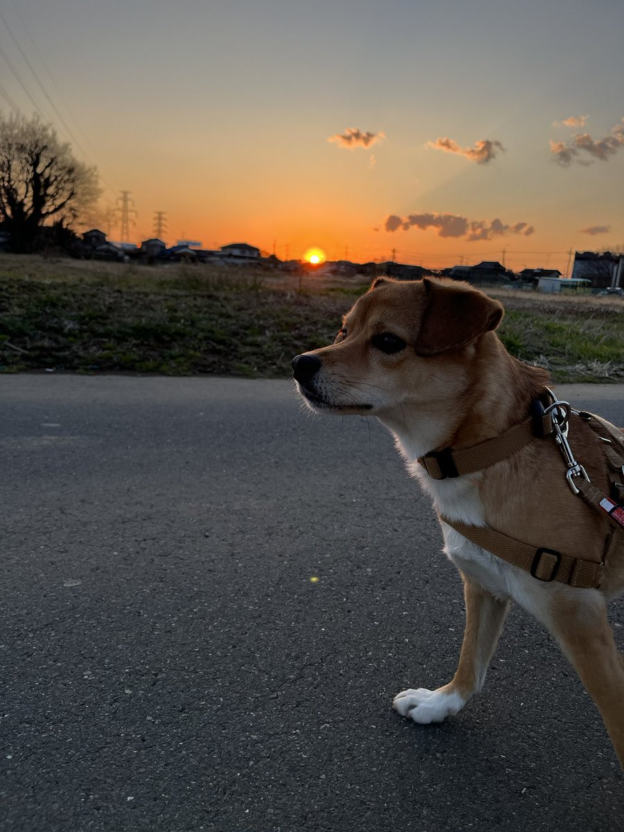 kse0913's tweet photo. 夕日🌇 https://t.co/XRDPEoaCKn