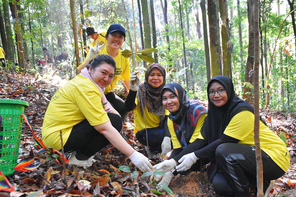 FRIMKepong's tweet photo. 20 staf Diamond Technique tanam 20 pokok di @FRIMKepong pd 9/3 bg menyokong Kempen Penanaman @100jutapokok 

#PokokKitaKehidupanKita #OurTreesOurLife #100JutaPokok #CSR_FRIM #FRIMTanamPokok #TreePlantingFRIM https://t.co/wk3mbLjqtF