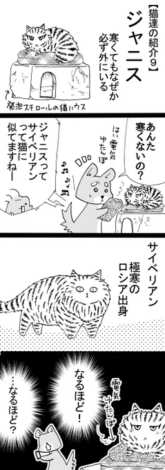 四コマ「祖父んちの隣人が多頭飼育崩壊した話78」
写真が実際のジャニスさんです。
モフモフですが触らせてはくれないので、ブラッシングもできません。

#猫 #四コマ #御かぞくさま御いっこう 