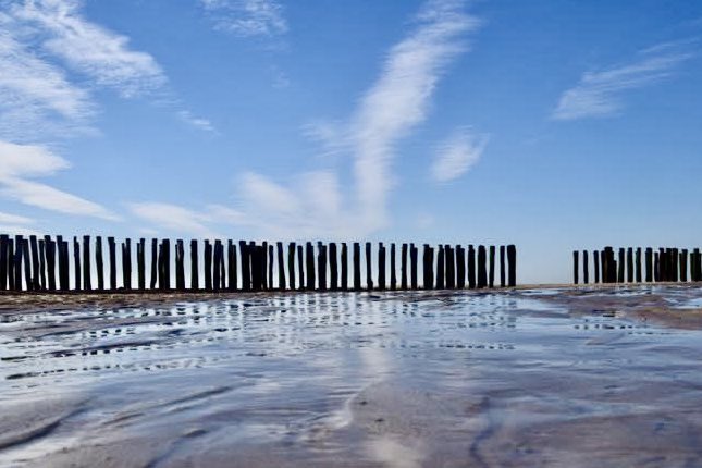 Patrick Braat ® tweet media