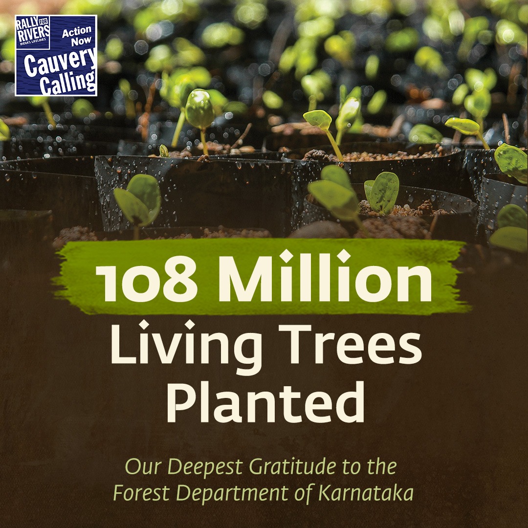 cpsavesoil's tweet photo. On this International Day of Action for Rivers, we are happy to announce that the Cauvery Calling initiative – a scale-up built on two decades of field experience – has enabled the planting of 108 million Living Trees and transitioned 196,000 farmers to tree-based agriculture since 1998.

Our deepest gratitude to the forest department of Karnataka for their support in making it happen.

#SaveSoil #ConsciousPlanet #SaveSoilFixClimateChange #SoilForClimateAction
