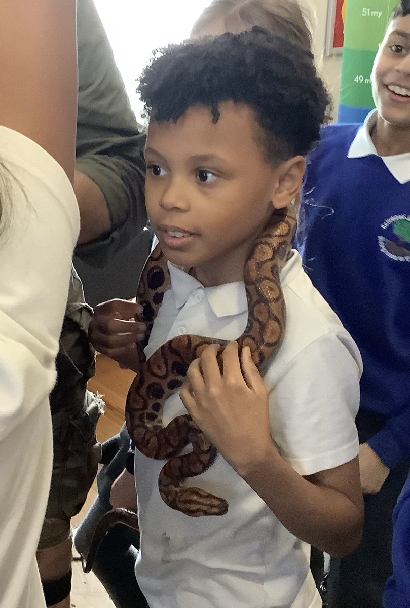 ReinwoodJuniors's tweet photo. What a fantastic end to our Brazil topic with The Animal Man! We learnt so much about the animals that live in the rainforest!
#RJS5D
#RJSGeography https://t.co/55W2CZTa1O