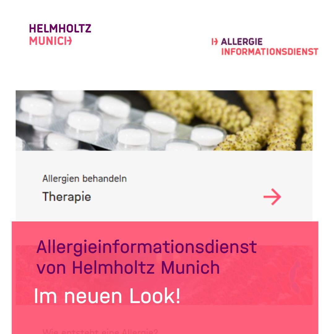 𝗡𝗲𝘂𝗲𝗿 𝗟𝗼𝗼𝗸: Der #Allergieinformationsdienst von #HelmholtzMunich 💡Hier findest du geprüfte Informationen aus den Bereichen #Allergie & #Allergologie. ✨Übersichtlich & verständlich. Entdecke die neue Performance: 👉allergieinformationsdienst.de #Allergie