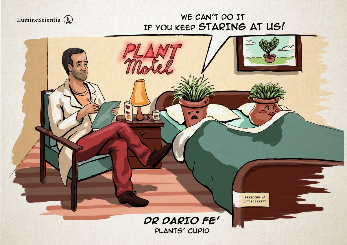 Matteo Tucci (@luminescientia) on Twitter photo Here's another #illustration for #ScientistsInTown! 🔬🎨
It's about the riveting work of Dario Fè, a geneticist expert in plant #breeding. Dario identifies #genes responsible for disease/stress resistances to to design crossing schemes.
#SciArt #scicomm <a href="/bonnerobin/">Robin Bonné</a> Here's another #illustration for #ScientistsInTown! 🔬🎨
It's about the riveting work of Dario Fè, a geneticist expert in plant #breeding. Dario identifies #genes responsible for disease/stress resistances to to design crossing schemes.
#SciArt #scicomm <a href="/bonnerobin/">Robin Bonné</a>