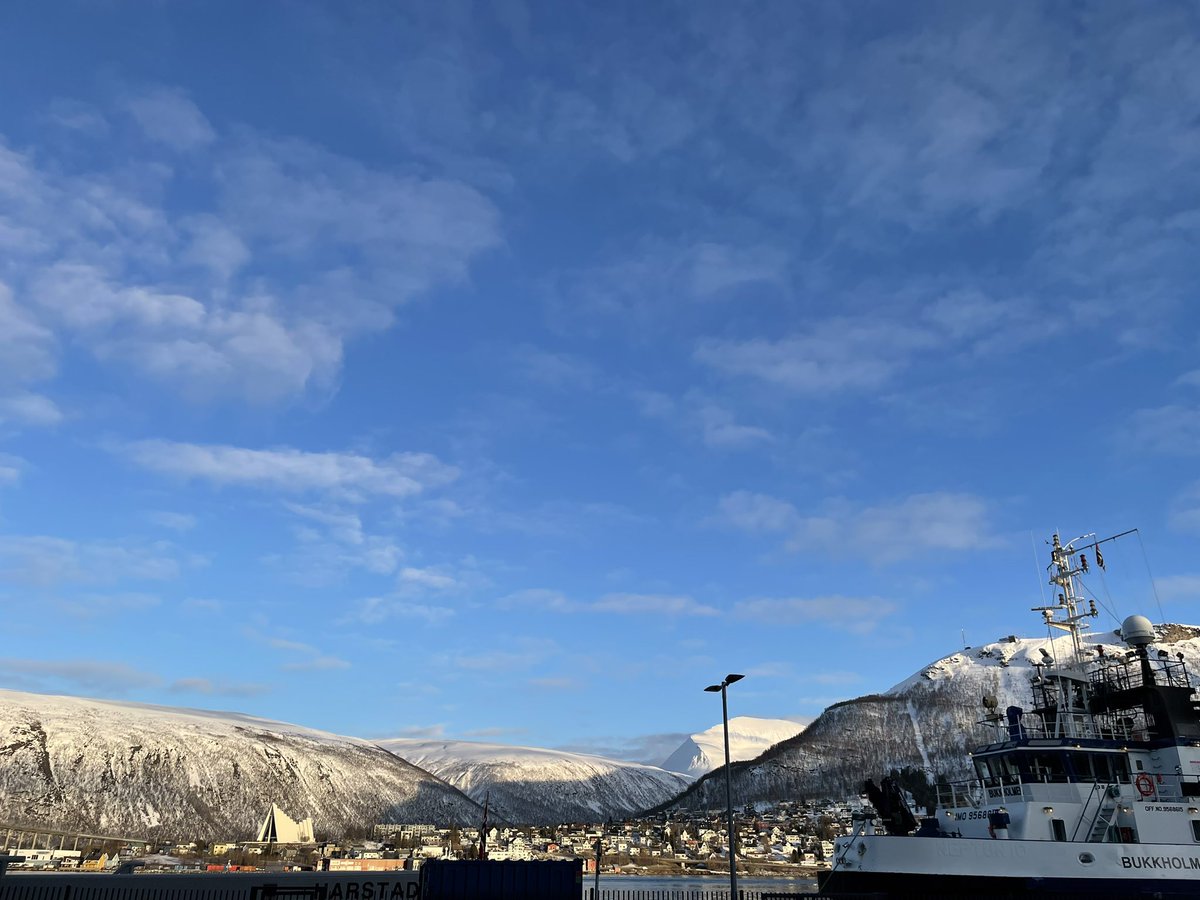 Ottilia Andersson tweet media