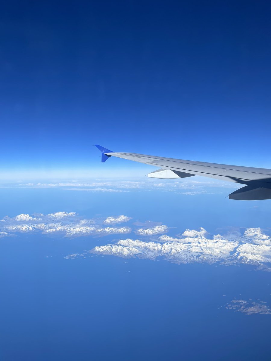 Ottilia Andersson tweet media