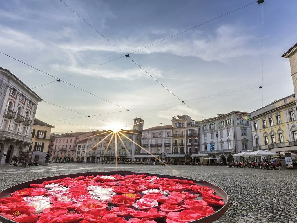 MySwitzerland_i's tweet photo. #SwissEvents - Un #evento da non perdere per tutti gli amanti della #primavera e dei fiori: la 25a edizione dell'Esposizione Camelie #Locarno si terrà dal 20 marzo al 24 marzo! Info e programma qui: https://t.co/nLRCySZZ2B

@asconalocarno 🪷🇨🇭#svizzera #eventi https://t.co/e8iTC5y3cd