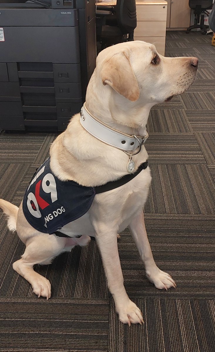 Woking Beat (Surrey Police) tweet media