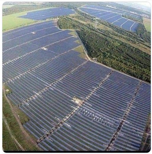 Naaldwijk's tweet photo. @wosmedia Hallo zonnepanelen, daaag weidevogels 😞😞 https://t.co/ljGAUbXsL3