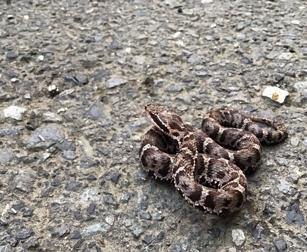 泡沫ORANGE tweet media