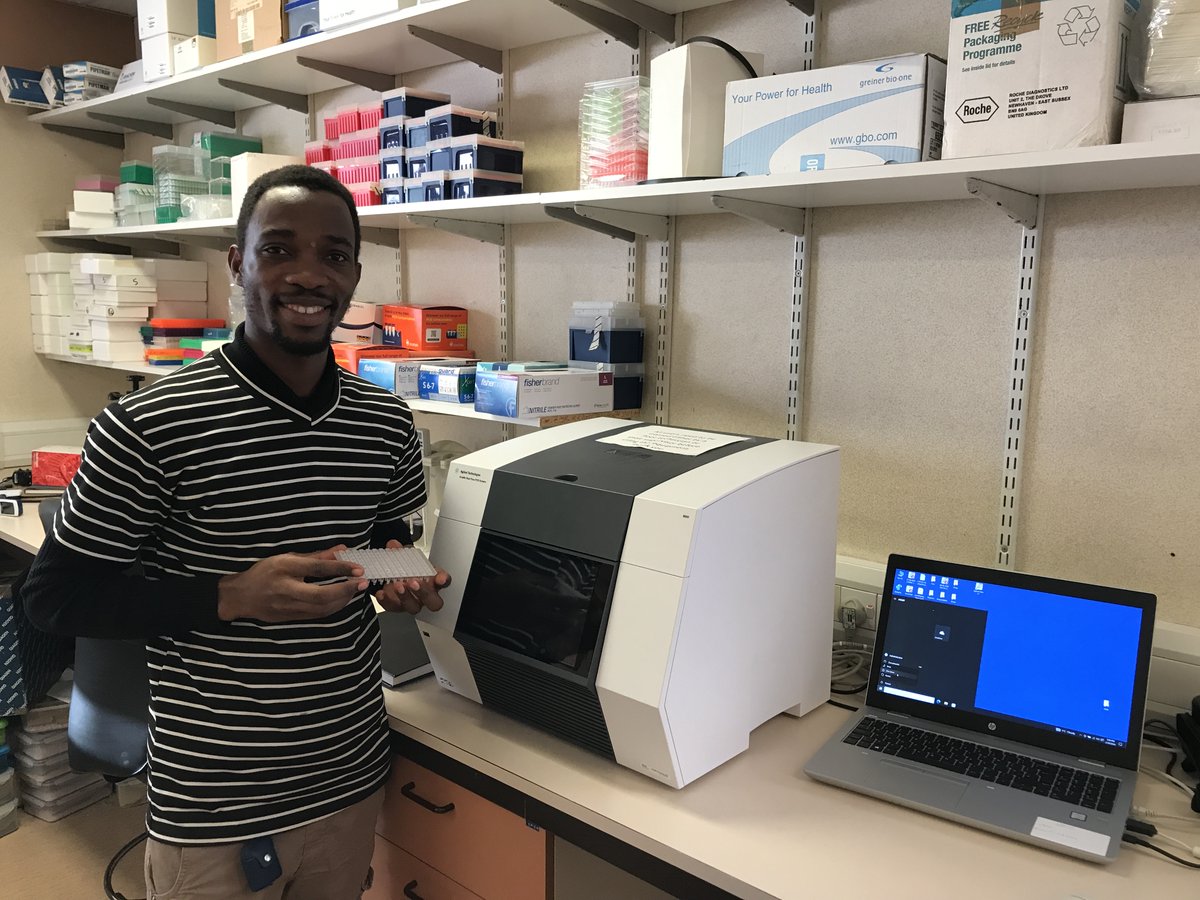 Francesco Baldini tweet media