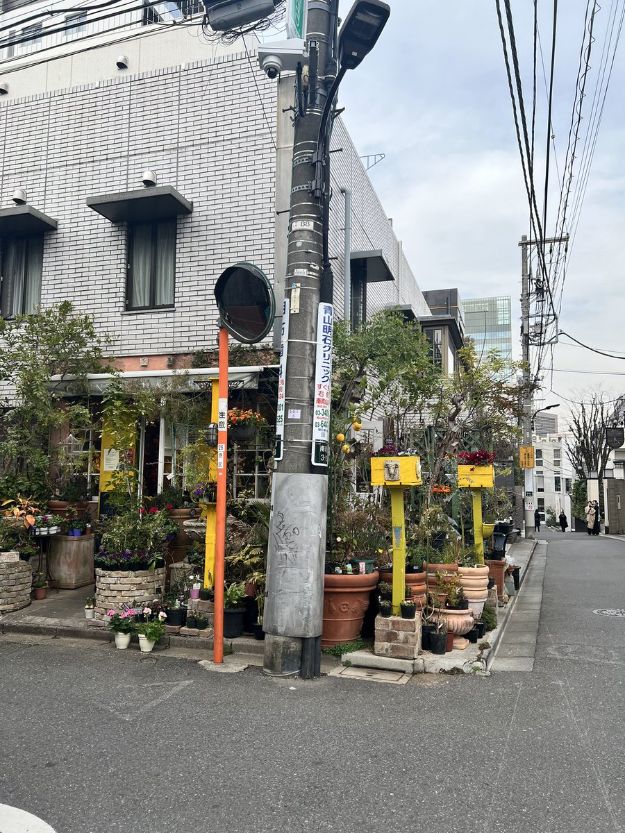 Chandra Intan Hakim tweet media