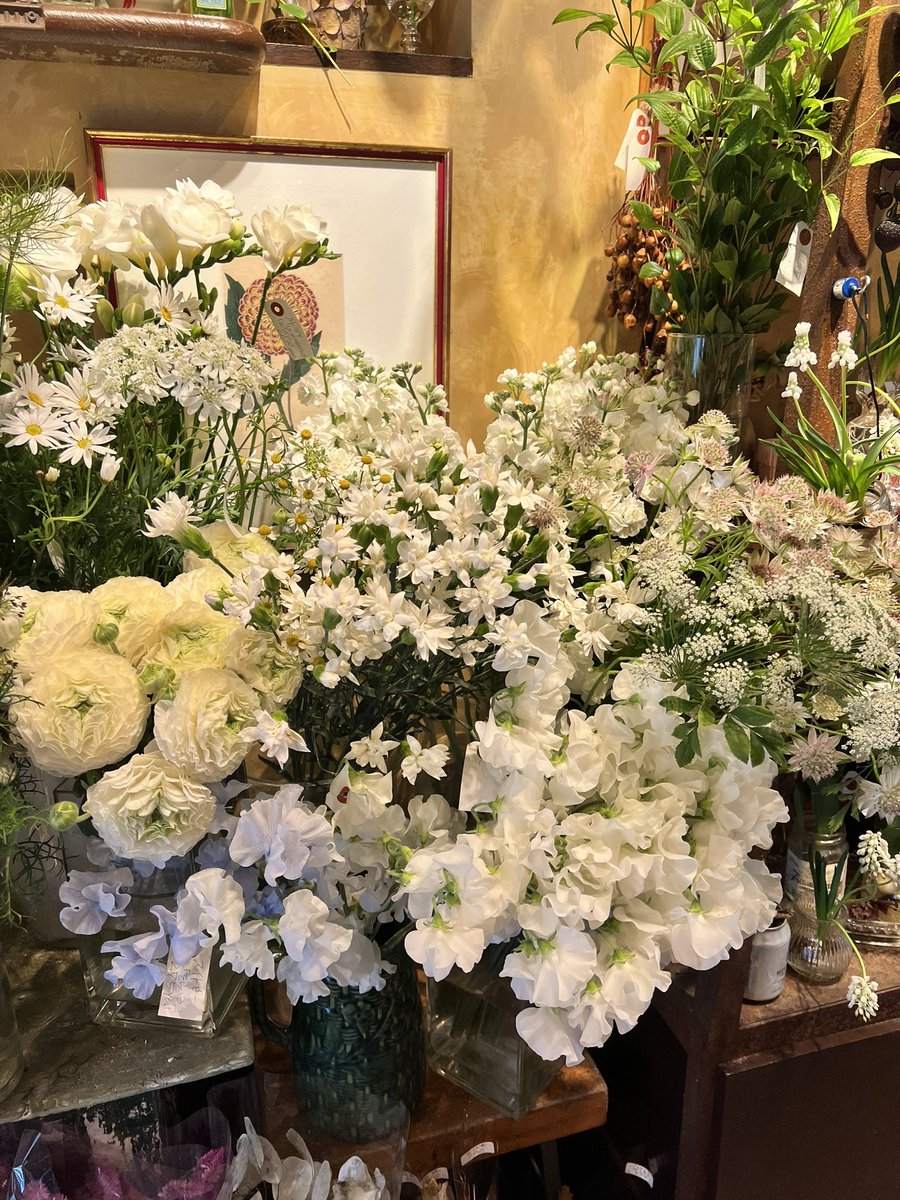 Chandra Intan Hakim tweet media