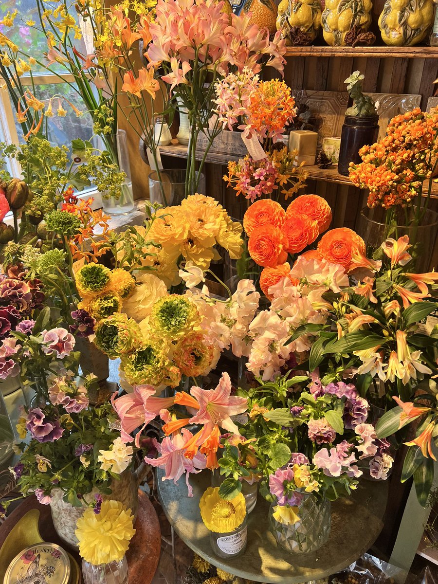 Chandra Intan Hakim tweet media