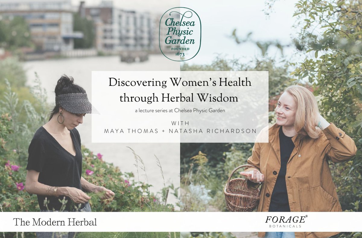Discovering Women’s Health through Herbal Wisdom. A brand-new lecture series to mark #WomensHistoryMonth, featuring Forage Botanicals and The Modern Herbal. Explore the relationship between women’s health and holistic plant medicine. 🌱 Book online via our website.