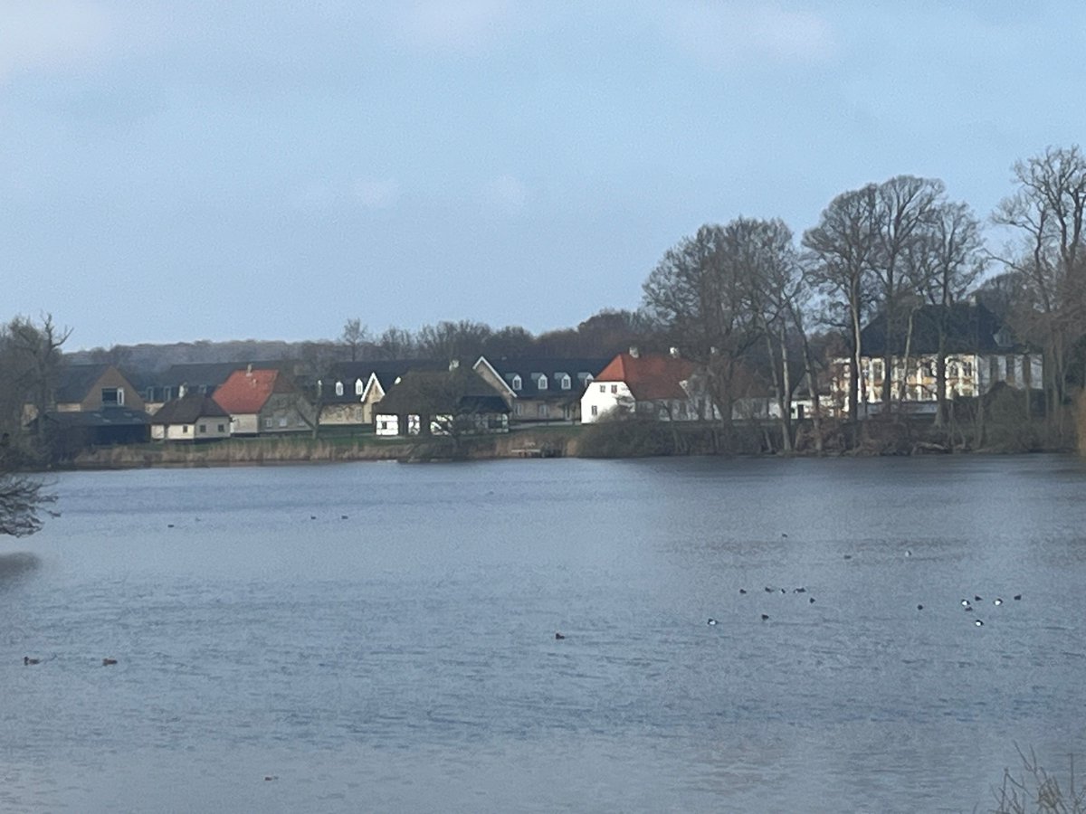 🦴 🔬 We were happy to participate in the 7th Danish Bone Research Workshop last week and to meet possible future collaboration partners 🤝🏻 It was beautifully organised by the Danish Bone Society at Sandbjerg Gods which is pretty even on a cloudy day 🌧️ #Networking