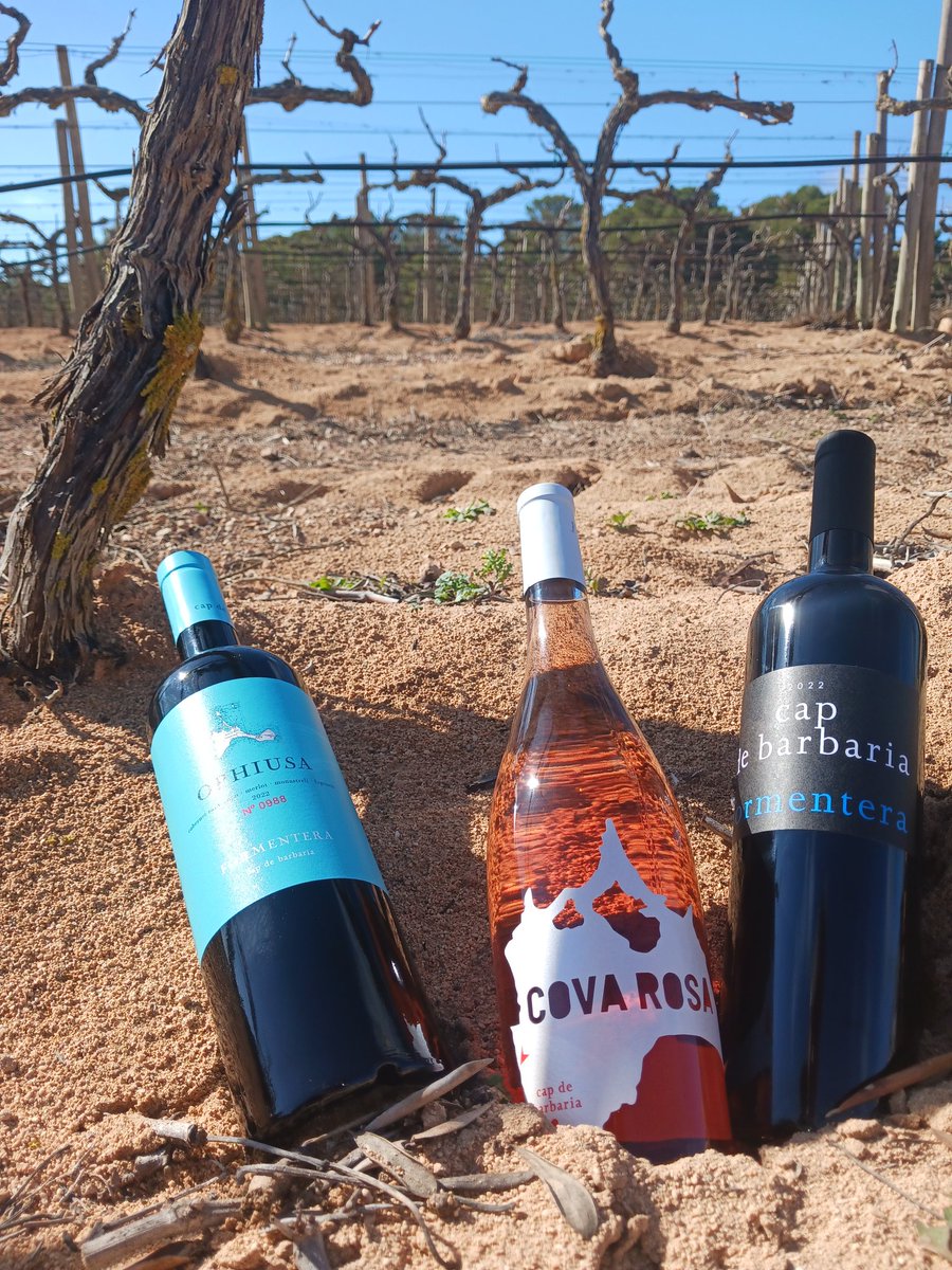 vallcorbi's tweet photo. 20ena anyada elaborant #vi a #Formentera #Balears
#winelover #wine #CapdeBarbaria
25 anys venint a Formentera i veient els canvis socioculturals/econòmics de la pitiüssa petita. https://t.co/I2aNuBFvPc