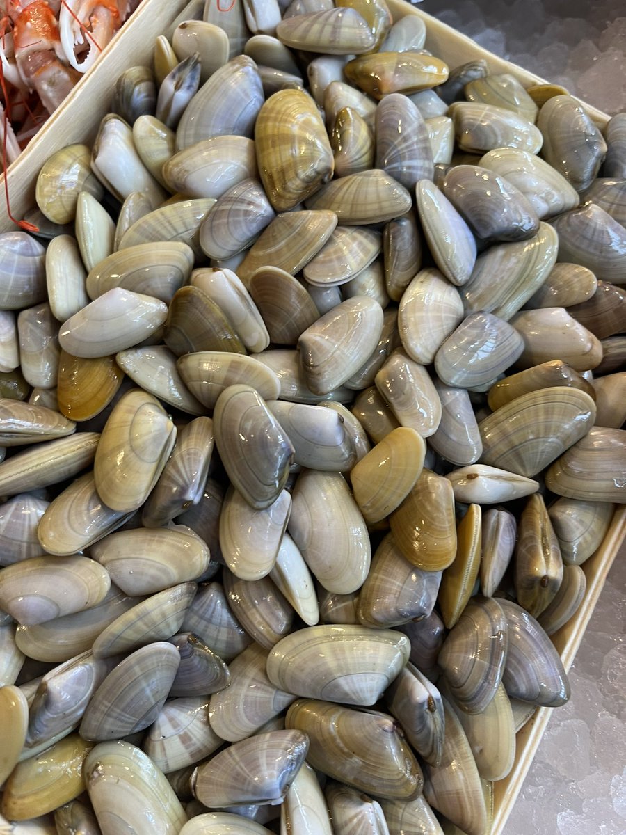 Jonathan Norris tweet media