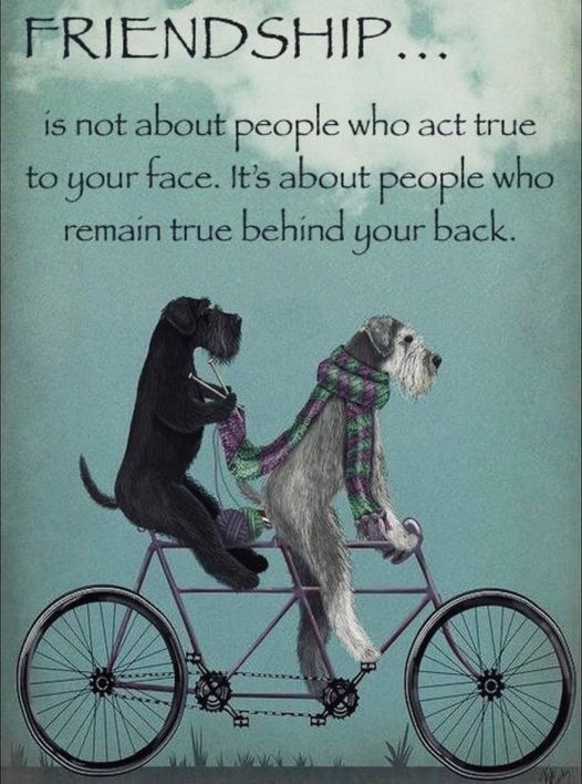 Isabelle M (@isabell77880997) on Twitter photo 