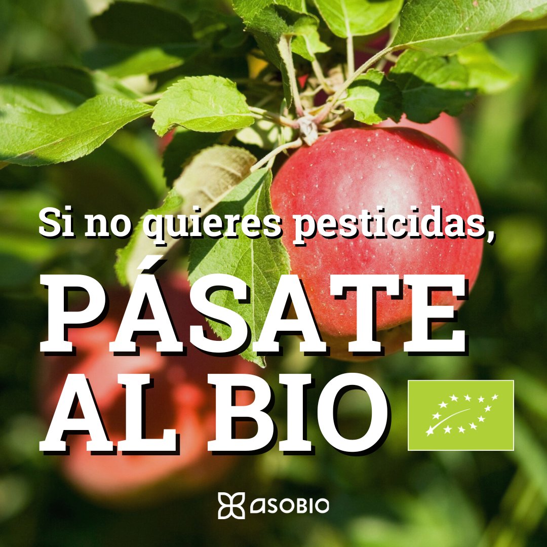 🌿Los alimentos ecológicos se producen con prácticas agrarias respetuosas con el medio ambiente, sin pesticidas ni OMG.

💚Si no quieres #pesticidas, pásate al #bio.
💪Combate el #greenwashing, ¡elige ecológico!

#sectorecológico #producciónecologica #productosecológicos #ASOBIO