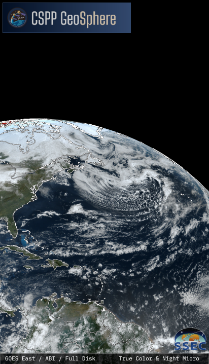 Miracle!?... only the STEMS might understand.  Phenom..  #day8 #thankyouGOD