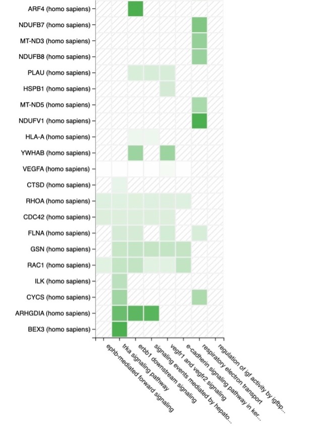 Euretos's tweet photo. Biological profiling via enrichment analysis of genes linked to diseases like PKD reveals key biological processes and pathways, offering insights into disease mechanisms and progression. https://t.co/22d2OI0vt7 https://t.co/3S1XUHWgv9