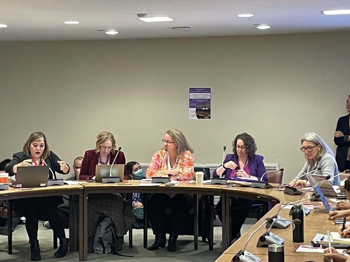 JoCrawford_Melb's tweet photo. . @jessaganda of @UN_Women @ #CSW68: ‘Gender data is a prerequisite for transformative action on #genderequality’ - we have solutions &amp; some champions - but not consistent mainstreaming of #gender #data - we need gender-responsive gender stats budgets! https://t.co/iJSkgstuLS