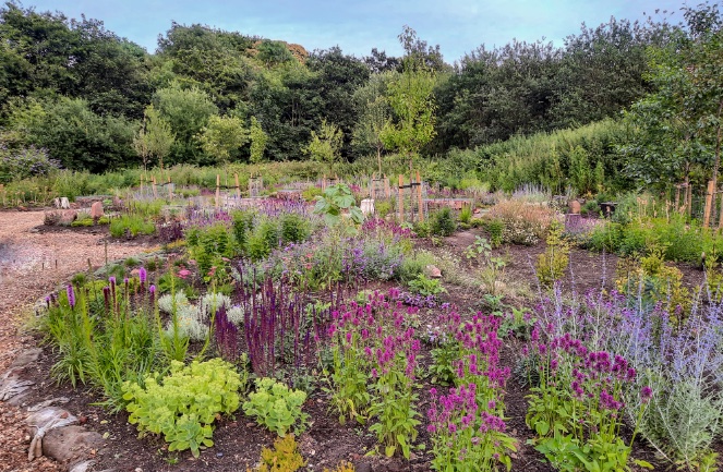 SGD Student Member Paul Harris will be appearing on the new series of BBC Gardeners' World tomorrow talking about Calderstones Park Nature Reserve, a former depot that was saved from development by the local community and turned into a thriving nature reserve.