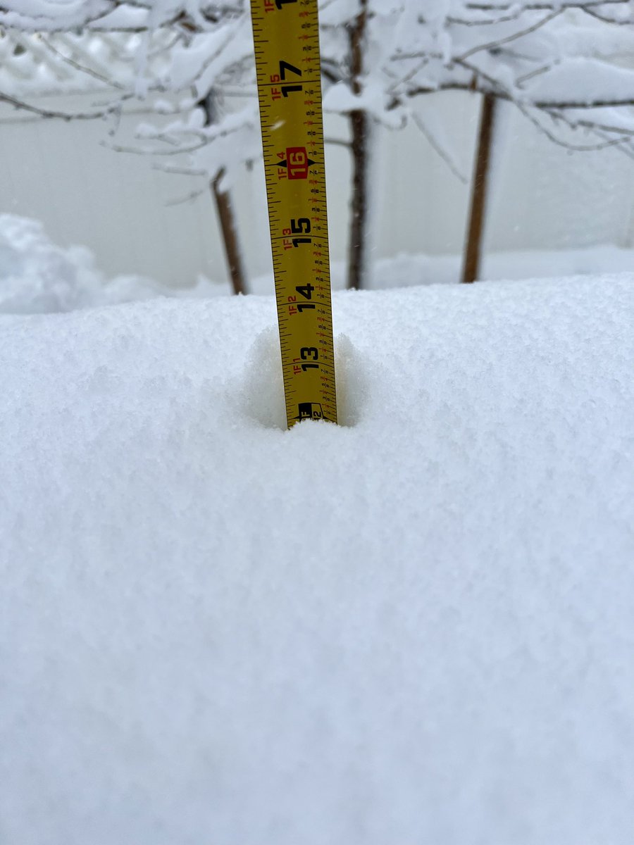 Katie McWilliams tweet media