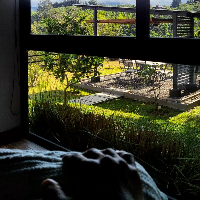 I spend more time in #CostaRica than I do in the States ... I'm in my element https://t.co/egbV2bXaD<a href="/tag/costarica"class="tags">#CostaRica</a>