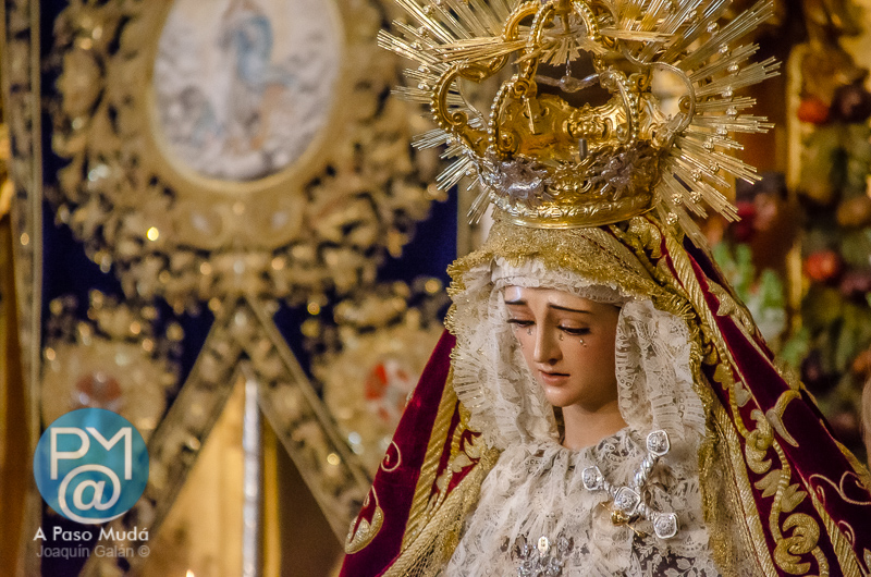 .@HdadGranPoder #Besamanos a la Virgen de #MayorDoloryTraspaso de El #GranPoder de #Sevilla 
apasomuda.blogspot.com/2024/03/besama…
#GranPoderSevilla 
#Cuaresma #Cuaresma2024 #CuaresmaSevilla 
#CuaresmaSevilla24 #Cuaresma24 #TDSCofrade