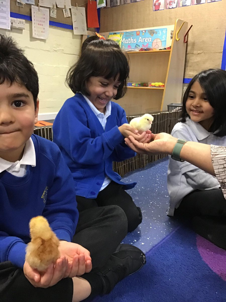 SunningHill Rec tweet media