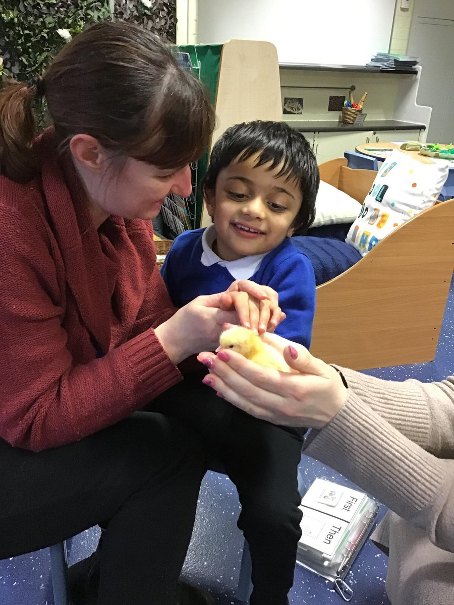 SunningHill Rec tweet media