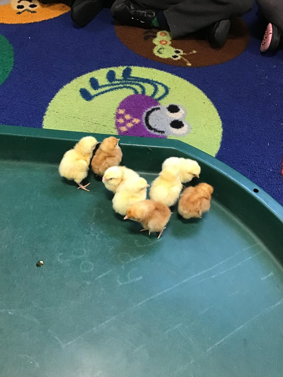 SunningHill Rec tweet media