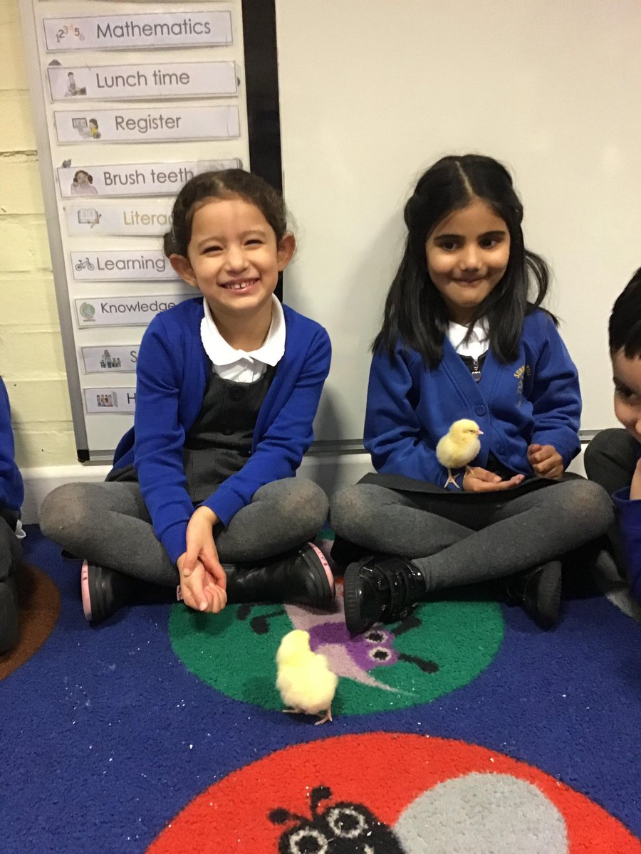 SunningHill Rec tweet media