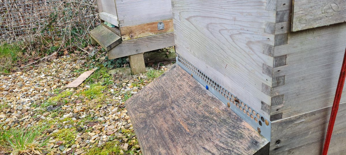 Giffnock PS tweet media