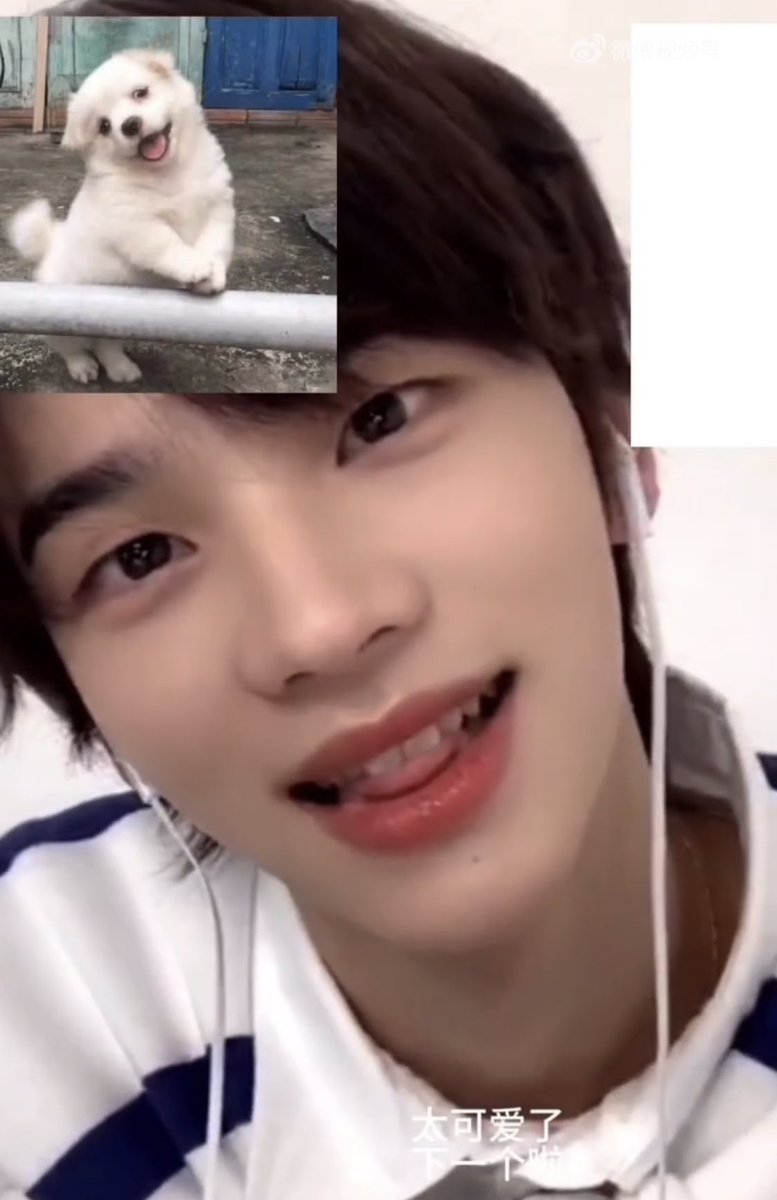foryuzip's tweet photo. 정환��� 너 진짜 강아지냐 .. https://t.co/yDJlgpioN0