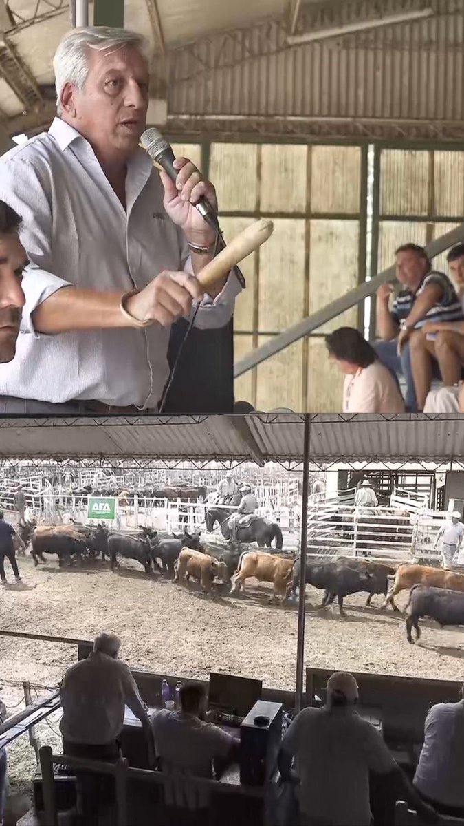 AFASCL's tweet photo. Programa AFA Hacienda 2024
🐄 7 de Marzo MARCOS JUÁREZ
🎥Miralo completo acá:
https://t.co/DlioIievEq
#AFASCL #HaciendaAFA https://t.co/RS6YZbDA3j
