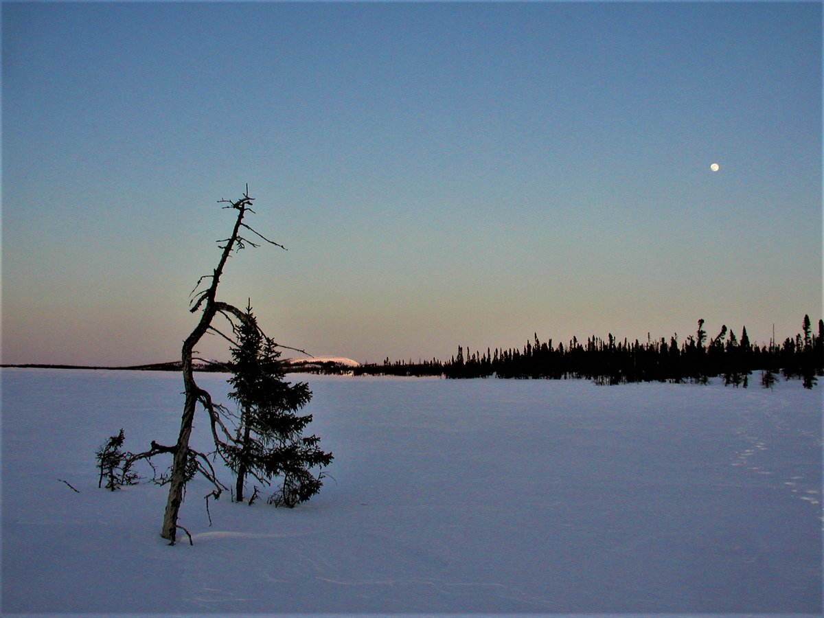 006 Wild Man Running bit.ly/48PXmTP Yes it could, though quite inconceivably, It could indeed, have happened that way... Climate and nature in the far north