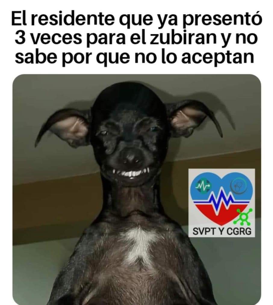 Que Ordinario Memes DEMOCRACIA “MADE IN” MPLA | Jornal Folha 8
