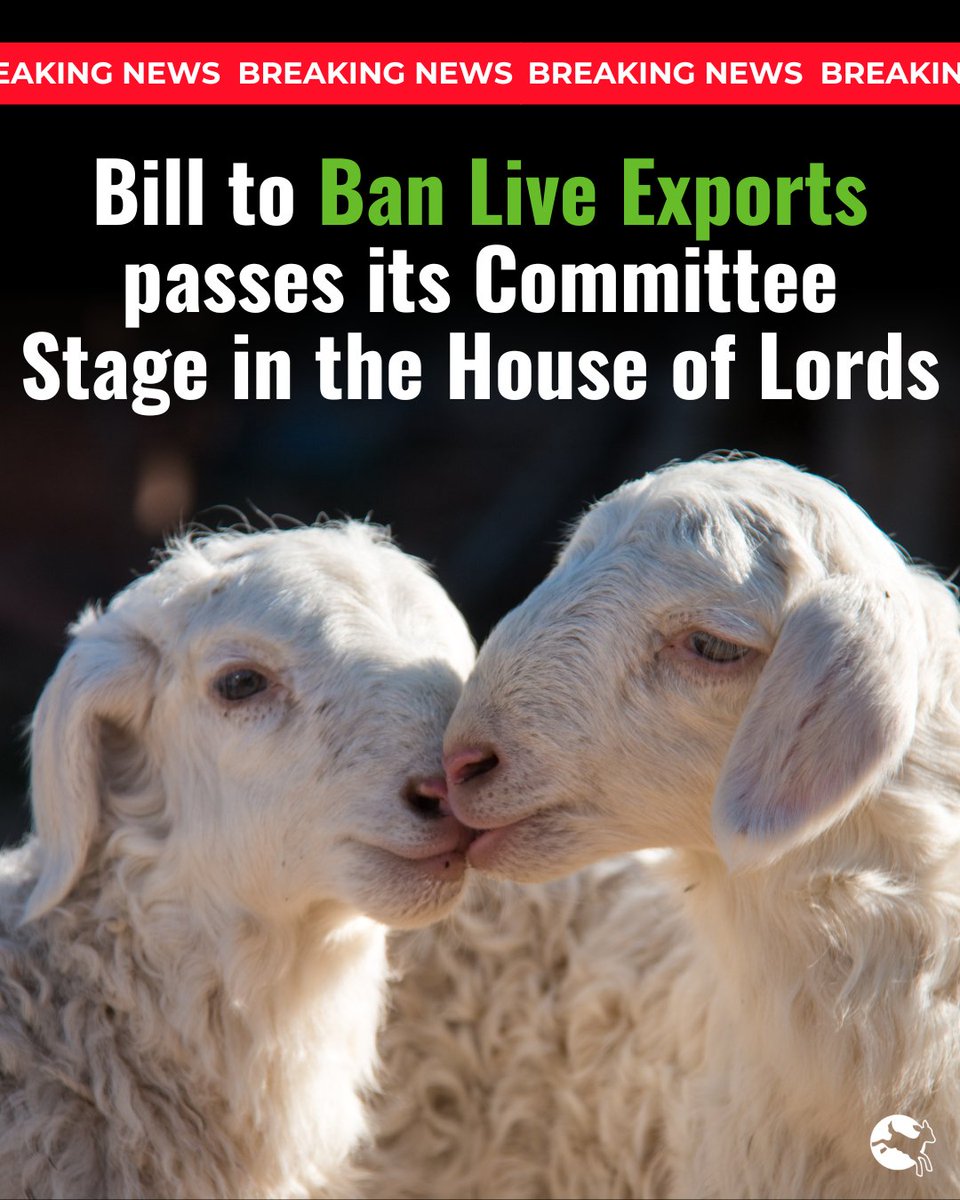 BREAKING: The Bill to #BanLiveExports from Britain passes another stage in Parliament. We are so so close to ending this trade. 🙌🙌 This moment has been years in the making, and for those of you who have stuck with us, we cannot thank you enough. 💚