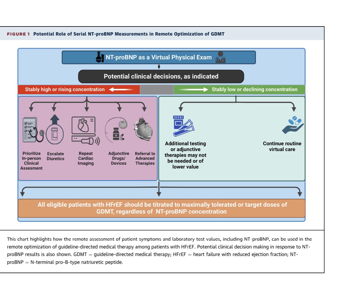 ShahzebKhanMD's tweet photo. 📌 Our editorial in @JACCJournals regarding serial NT-proBNP measurements and implementation of GDMT. 

📌 Potential use of NT-proBNP as a virtual physical exam

https://t.co/Du4KS5TCVY

Comment to the excellent 📝 by @MichaelFueryMD, @yaleHFdoc et al: https://t.co/clpoVMSWqu https://t.co/xV63mRg4Ot