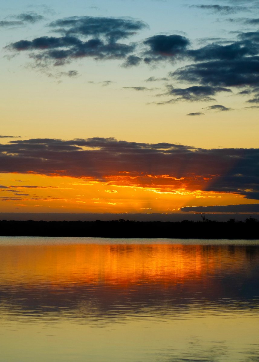 Mara Lezama tweet media