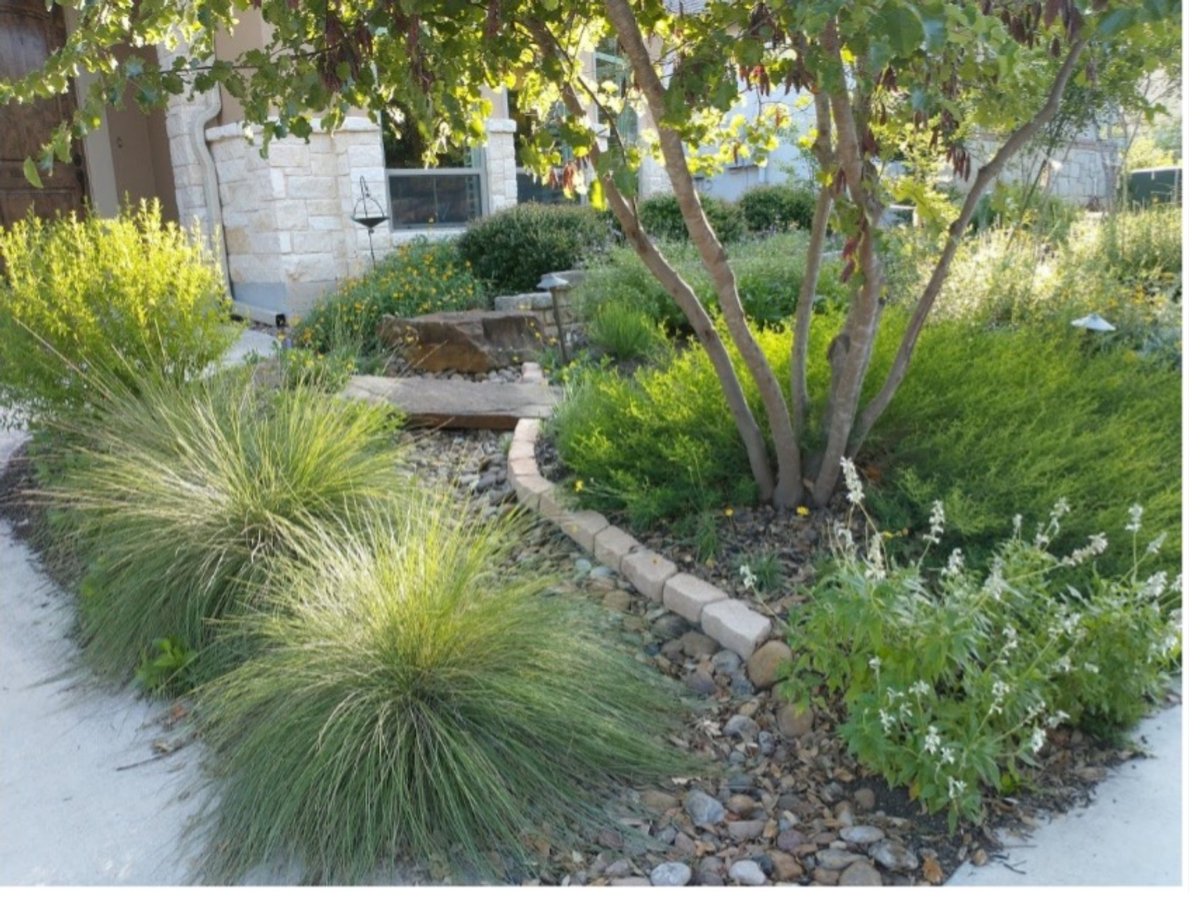 Learn the ecological benefits of using native plants and choose plants that will thrive in your yard! Attend this plant presentation by Pam Peck: Cultivating  Native Plants in King William on Thursday, March 21, 2024, from 7-8 p.m.  at 122 Madison St.