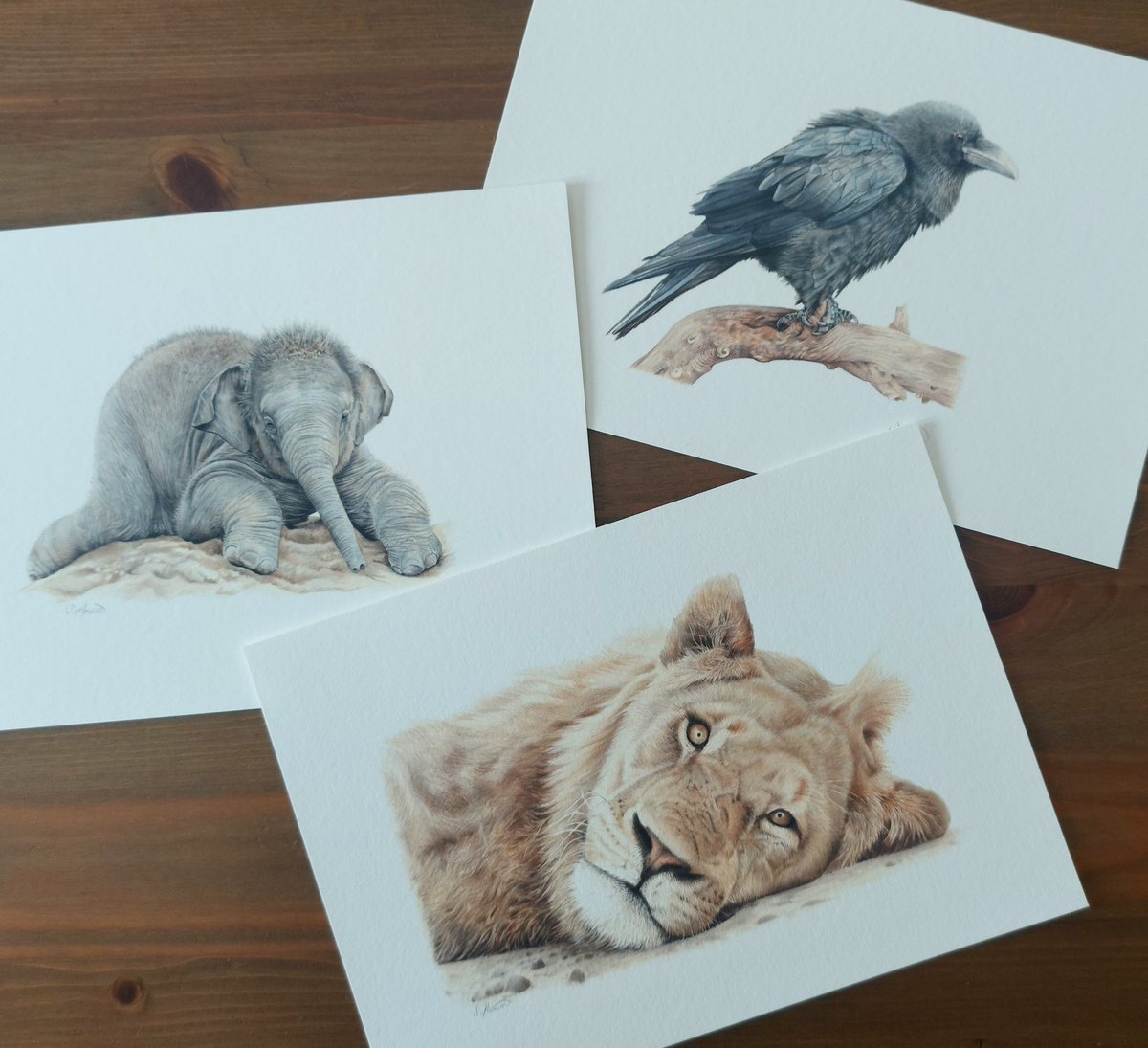 Fine art prints. Size A4 £30 each plus P&P. 
#fineartprints #art #giclee #wildlife #pencilart