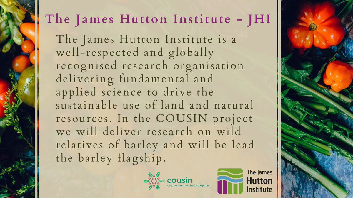 COUSIN project (@cousin_project) on Twitter photo Meet the project 𝗽𝗮𝗿𝘁𝗻𝗲𝗿𝘀! 🌱
COUSIN project involves 25 entities from 12 countries around Europe, including
The James Hutton Institute <a href="/JamesHuttonInst/">James Hutton Institute</a> (UK) 🇬🇧
🚩 hutton.ac.uk Meet the project 𝗽𝗮𝗿𝘁𝗻𝗲𝗿𝘀! 🌱
COUSIN project involves 25 entities from 12 countries around Europe, including
The James Hutton Institute <a href="/JamesHuttonInst/">James Hutton Institute</a> (UK) 🇬🇧
🚩 hutton.ac.uk
