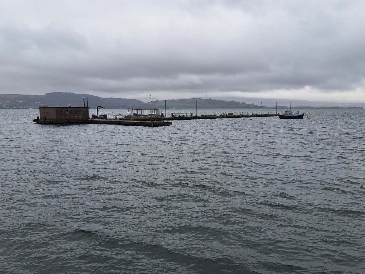 Spring tide ?? Ghost pier Gourock