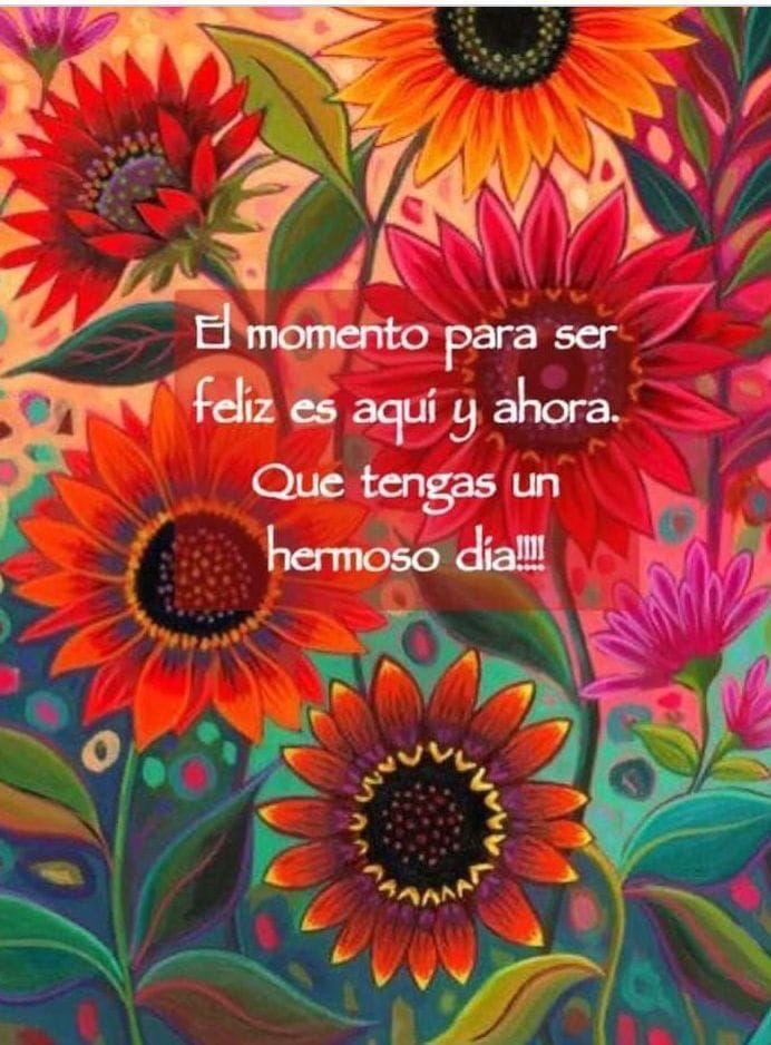 Excelente día