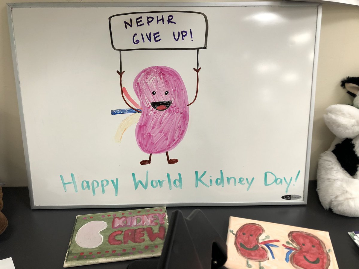 Good morning - it’s World Kidney Day! @SBNephrology @stonybrooku @sbudeptofmed @StonyBrookMed #WorldKidneyDay2024